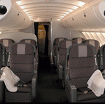 SelfDefenseAirplane
