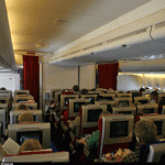 SelfDefenseAirplane1